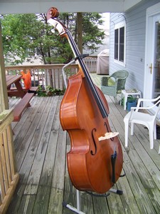 cremona double bass